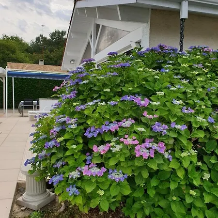 Plaisirs De Lège-Cap-Ferret