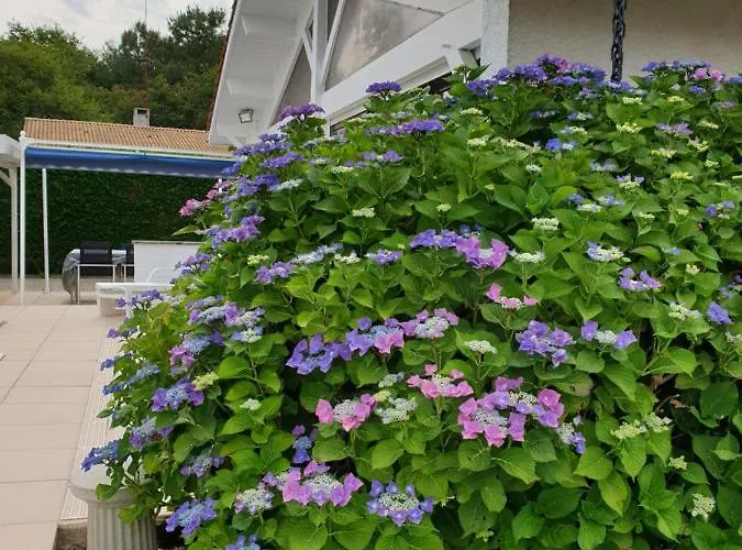 Plaisirs De Lege-Cap-Ferret